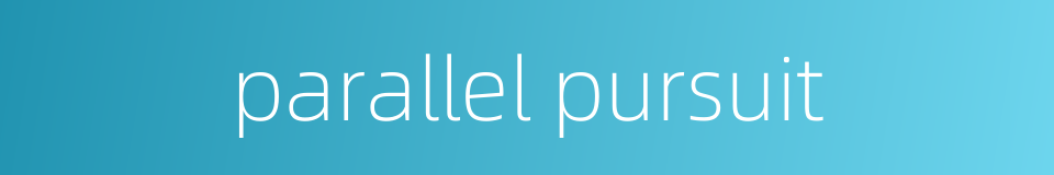parallel pursuit的同义词