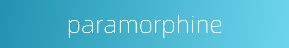 paramorphine的同义词