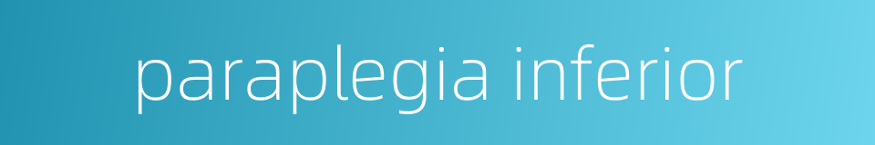 paraplegia inferior的同义词