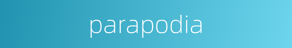 parapodia的同义词