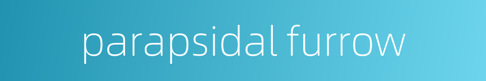 parapsidal furrow的同义词