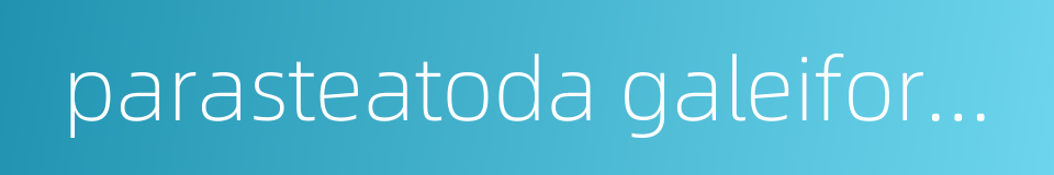 parasteatoda galeiforma的同义词