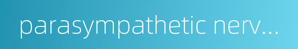 parasympathetic nervous system的同义词