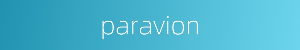 paravion的同义词