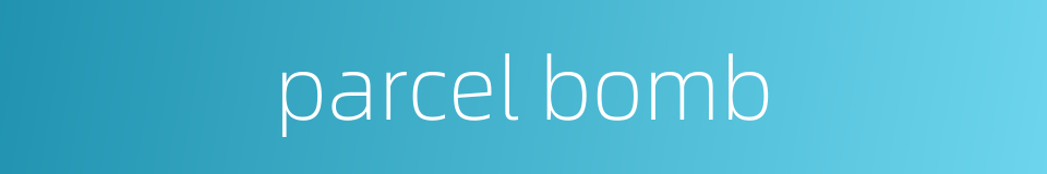 parcel bomb的同义词