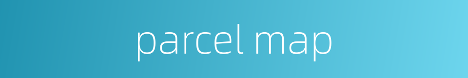parcel map的同义词