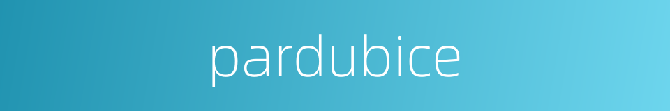 pardubice的同义词