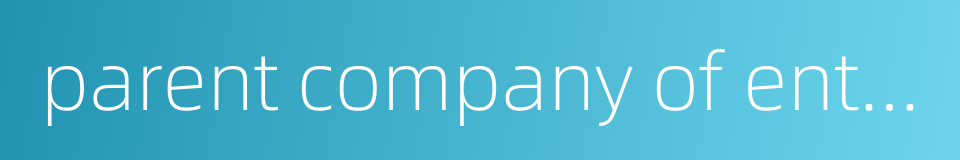 parent company of enterprise group的同义词