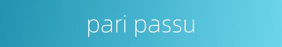 pari passu的同义词