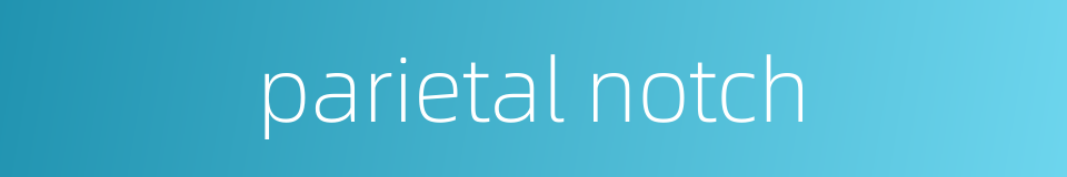 parietal notch的同义词