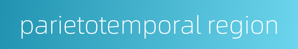 parietotemporal region的同义词