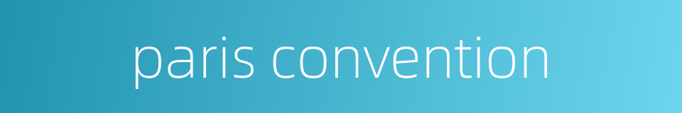 paris convention的同义词