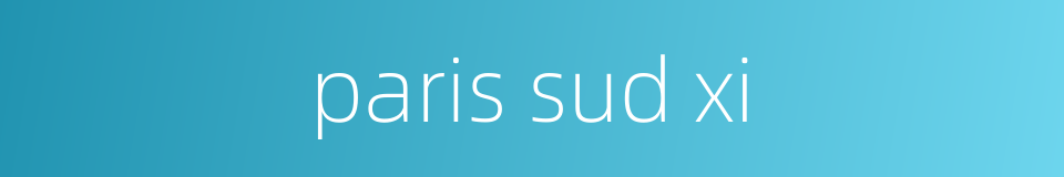 paris sud xi的同义词