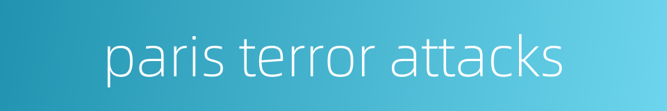 paris terror attacks的同义词