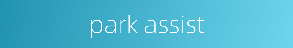 park assist的同义词