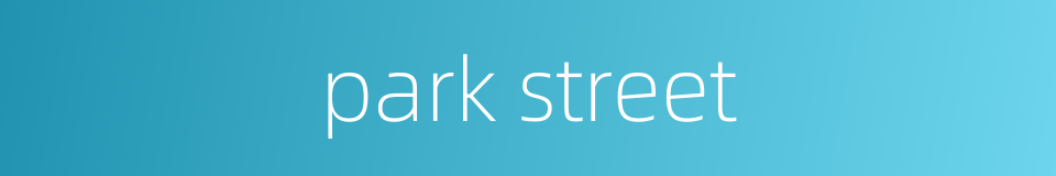 park street的同义词