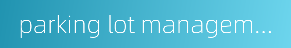 parking lot management system的同义词