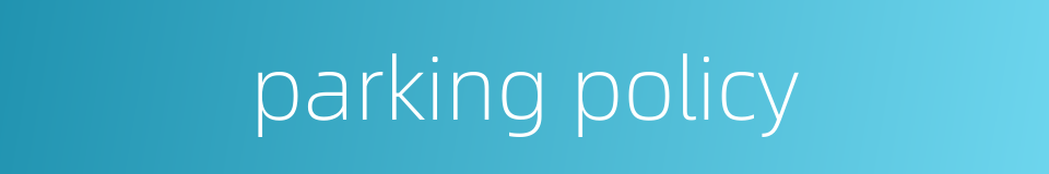 parking policy的同义词