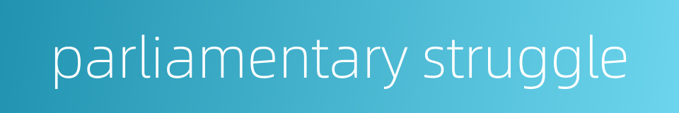 parliamentary struggle的同义词