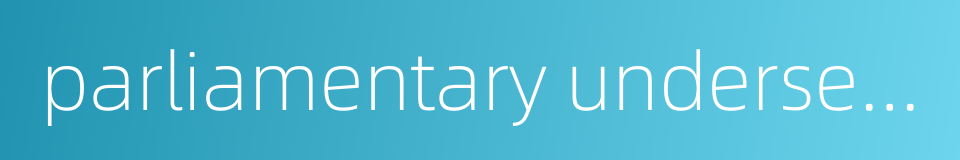 parliamentary undersecretary的同义词