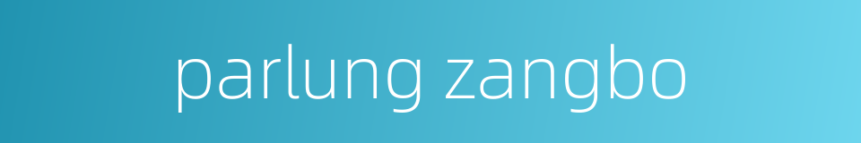 parlung zangbo的同义词
