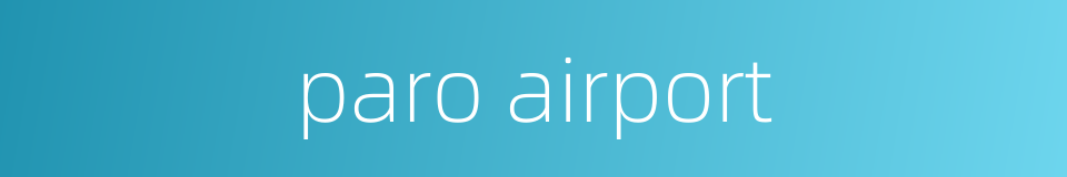 paro airport的同义词