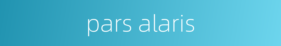 pars alaris的同义词