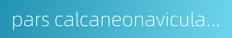 pars calcaneonavicularis的同义词