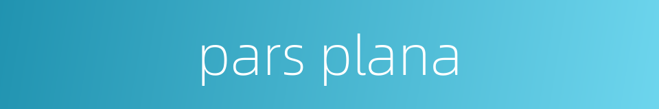 pars plana的同义词
