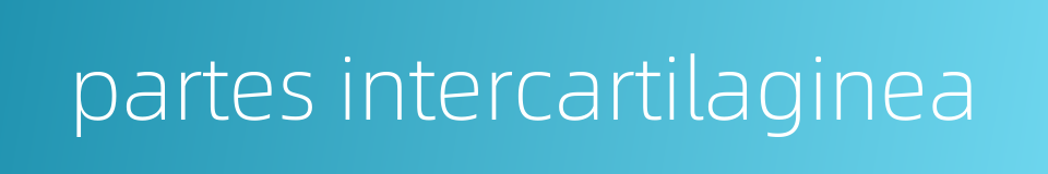 partes intercartilaginea的同义词