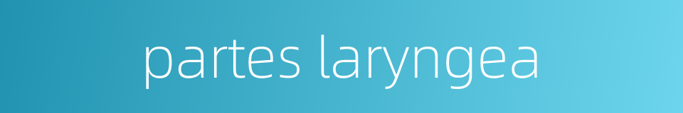 partes laryngea的同义词