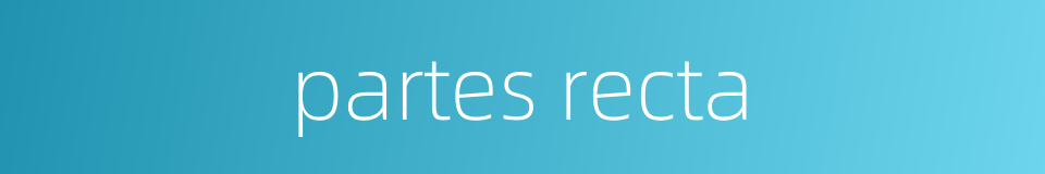 partes recta的同义词