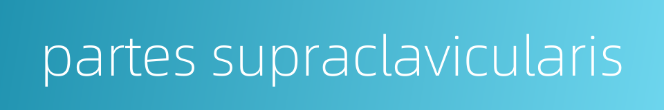 partes supraclavicularis的同义词