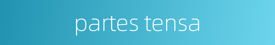 partes tensa的同义词