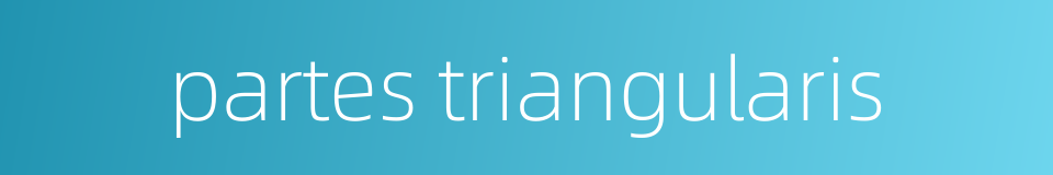 partes triangularis的同义词