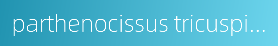 parthenocissus tricuspidata的同义词