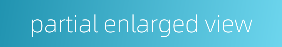 partial enlarged view的同义词