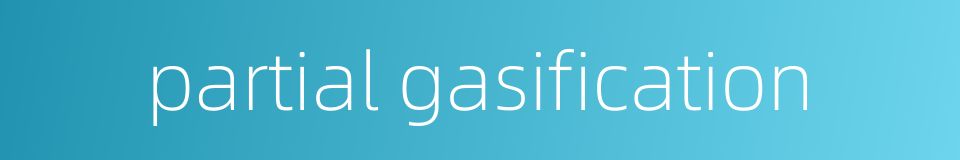 partial gasification的同义词