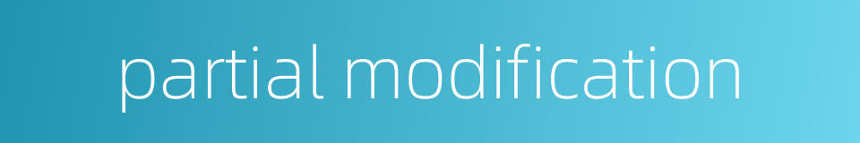 partial modification的同义词