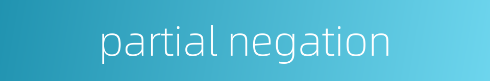 partial negation的同义词