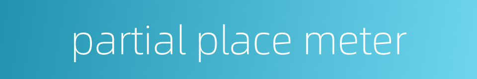 partial place meter的同义词
