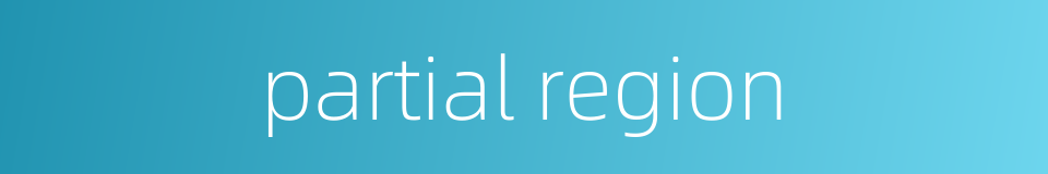 partial region的同义词