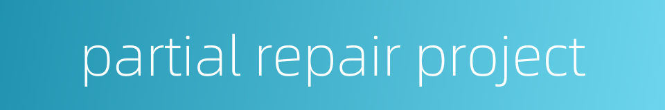 partial repair project的同义词
