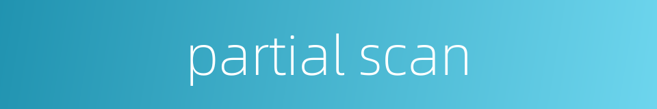 partial scan的同义词