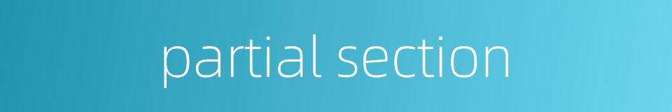 partial section的同义词