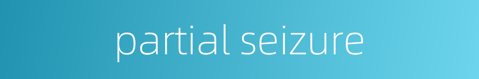 partial seizure的同义词