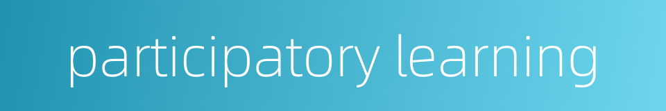 participatory learning的同义词