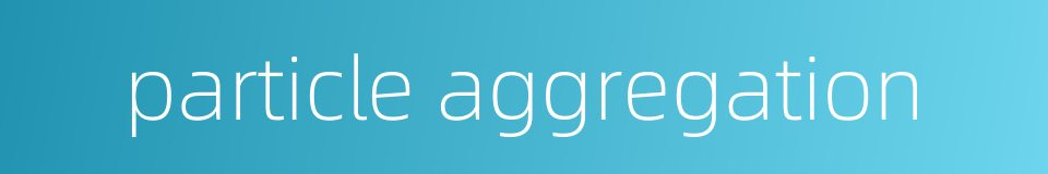 particle aggregation的同义词