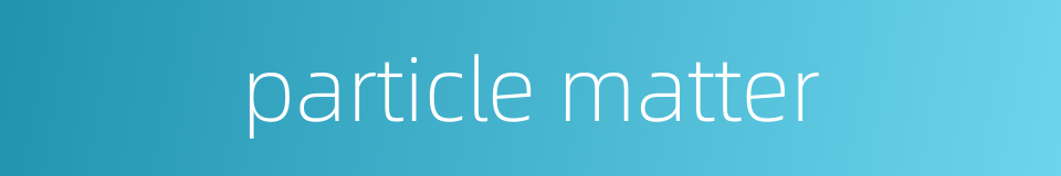 particle matter的同义词