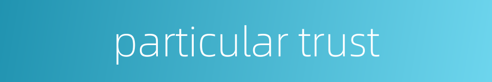 particular trust的同义词